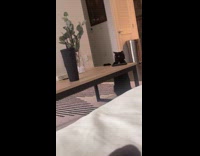 Woman calls out cat with its full name