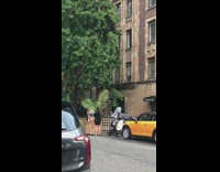 Woman kneel tree leaves photo shoot street