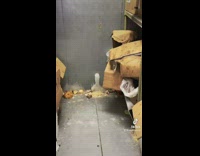 Girl red shirt finds weird shaped icicle in freezer