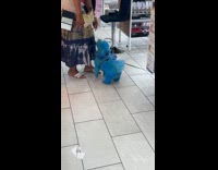 Woman approach blue dog in makeup store