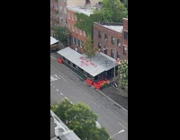 Graffiti on rooftop calls out tree 