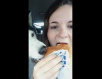 Husky stealing girls burger in car while shes eating it