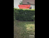 Guy makes bat paper airplane plane tutorial 