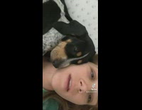 Cranky dog in bed cries and moves to opposite side 