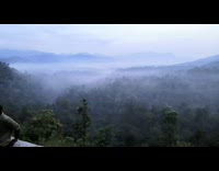 Time Lapse video of the foggy forest in the early morning