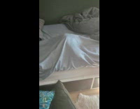 Pet cat got trapped under the bed sheets in the room