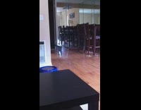 Guy shakes treat container grey cat appears 