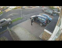 Collab Clips mpugc - Dog jumps into closed door of car