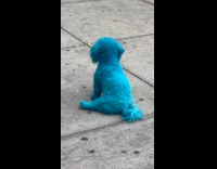 Blue colored fur dog on the sidewalk Part 1