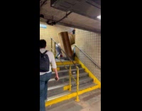 Men carry leopard print couch at stairs