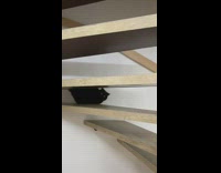 Black cat runs up and down stairs 