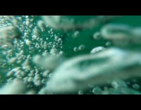 Guy swim approach catfish under raft lake