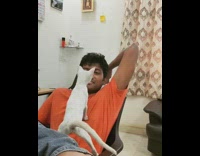 Orange shirt guy black chair white cat 