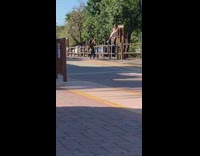 Collab IITW - Woman in Pink Dress Stands on Wood Fence for Photo