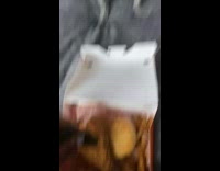 Dog watching owner shaking 