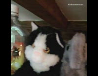 Cat blends in with stuffed animals 