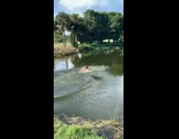 Guy runs jumps into pond water park 