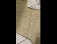 Golden retriever puppy unravels toilet paper bathroom 