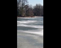 Man ice skate on frozen water park