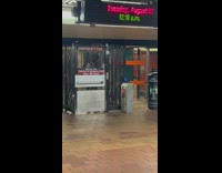 Dog opens subway door for owner 