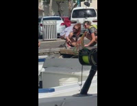 Two women trying to take picture with pelican 
