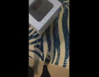 Guilty black dog in cage after stealing white strainer 