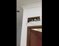 Cat lays in window above wood door
