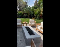 Cat and dog lay on patio sofa