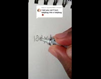 Collab PubityPets - Man Draws Lady Bugs on Lady Bug Words