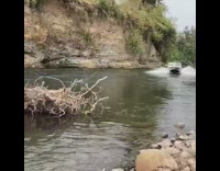 Guy rides boat over fallen tree 