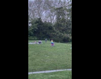 Person in piñata costume playing frisbee at park 

