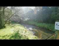 Steam goes off bridge over river