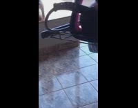 White dog sitting funny as owner comes into room