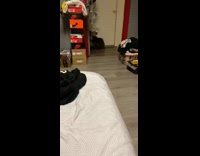 Grey cat plays fetch blue yellow ball 