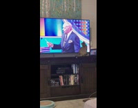 Collab DailyDoseOfInternet - Cat wall run hit tv steve harvey