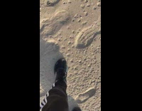 Steps on Sand Form New Imprints Each Time