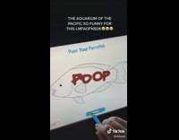 Lady Personalizes her Fish on Digital Aquarium