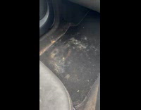 Man complains about dirty trash in car mold 