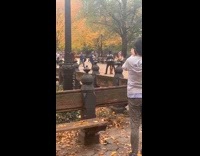 Collab WINY - Dog carried dances middle of video shoot