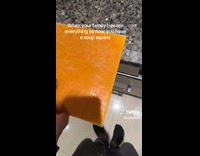 Submitter shows frozen soup leftover 