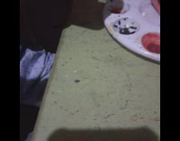 Girl watches ants walk around in circle 