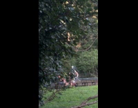 Full armor knight casually roam at park