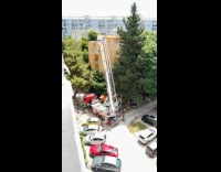 Firefighters help removing wasp nest on building
