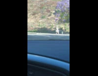 White dress hat girl walks sidewalk tripod 