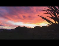 Sunset and pinkish clouds on the sky