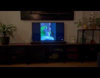 Filmer watch DDOI then pans to cat