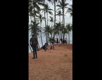 IITW - Woman photoshoot beach palm trees