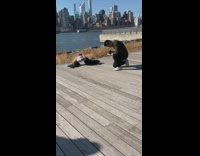 girl white shirt lays on wood floor