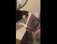 Man asks pronunciation from cat 