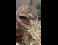 How to make dalgona whipped cream coffee